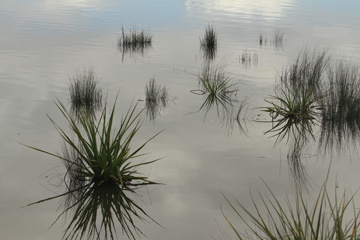 IMG_3718a.jpg